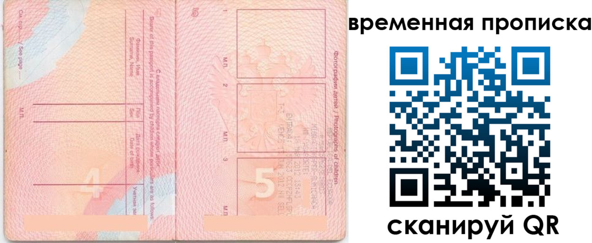 прописка для школы в Железногорске